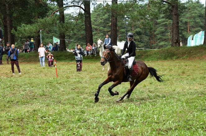 image017.jpg image017.jpg