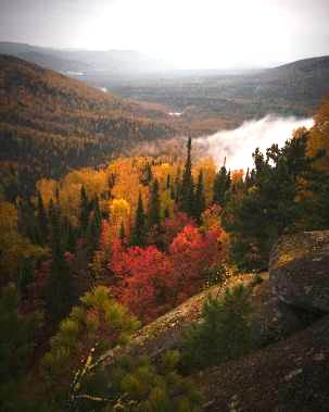 Туманная долина Туманная долина