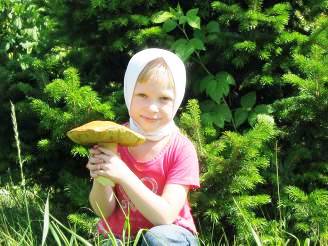 Тихая охота  Тихая охота