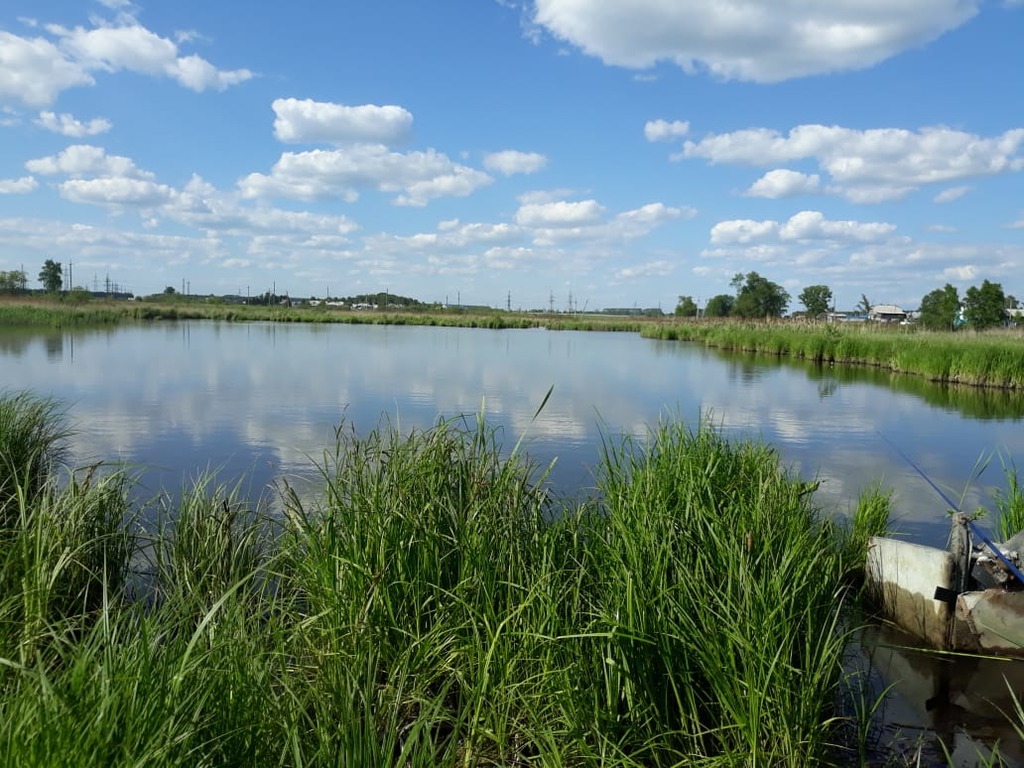 Конкурсная работа Конкурсная работа