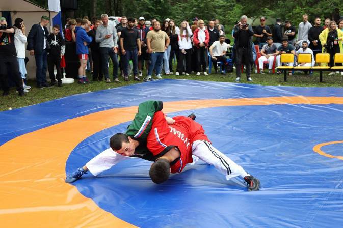 image019.jpg image019.jpg