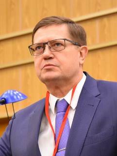 Домников Домников